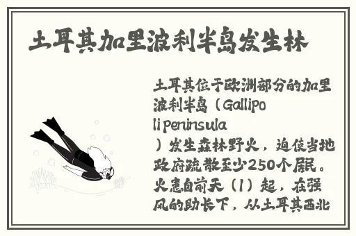 麻豆精品传媒一二三区艾秋导演